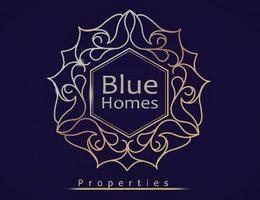 Blue Homes Properties logo