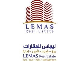 Lemas Real Estate logo
