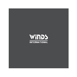 The Wind International Design & Property Development logo