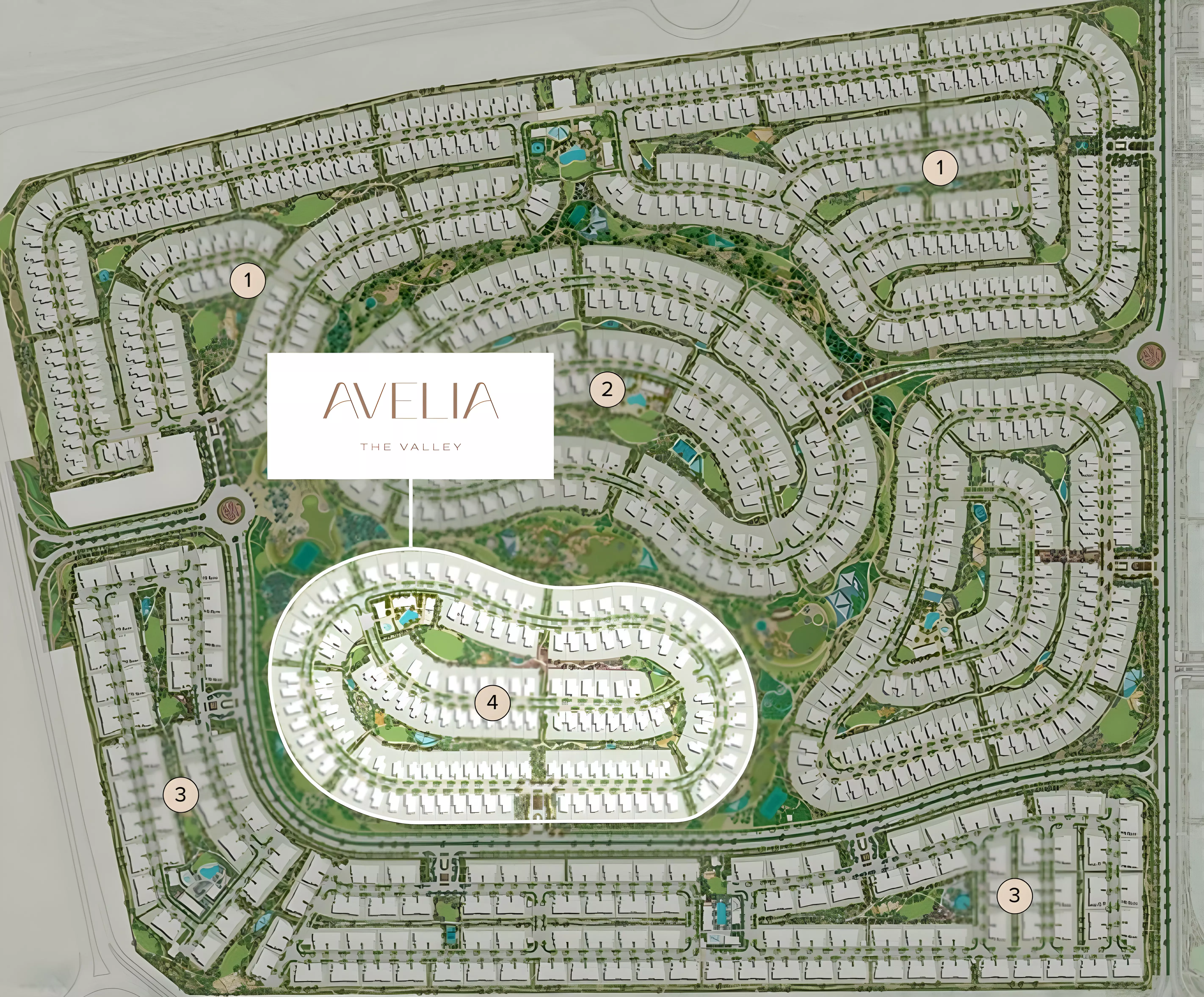 Avelia – photo 4