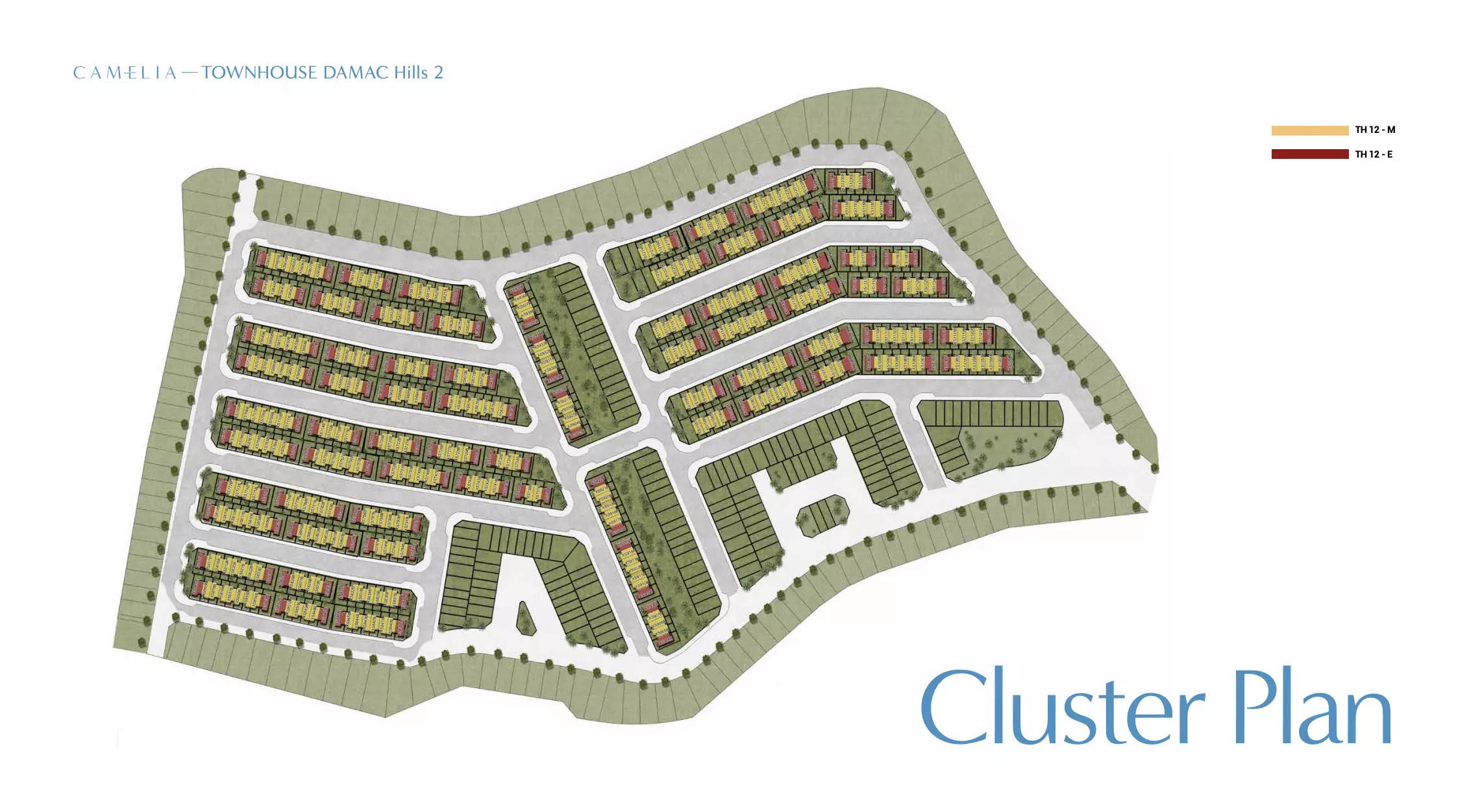 Camelia – master plan