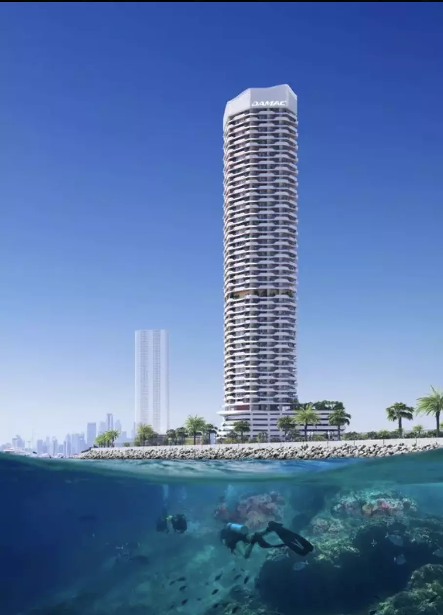 Coral Reef – photo 3