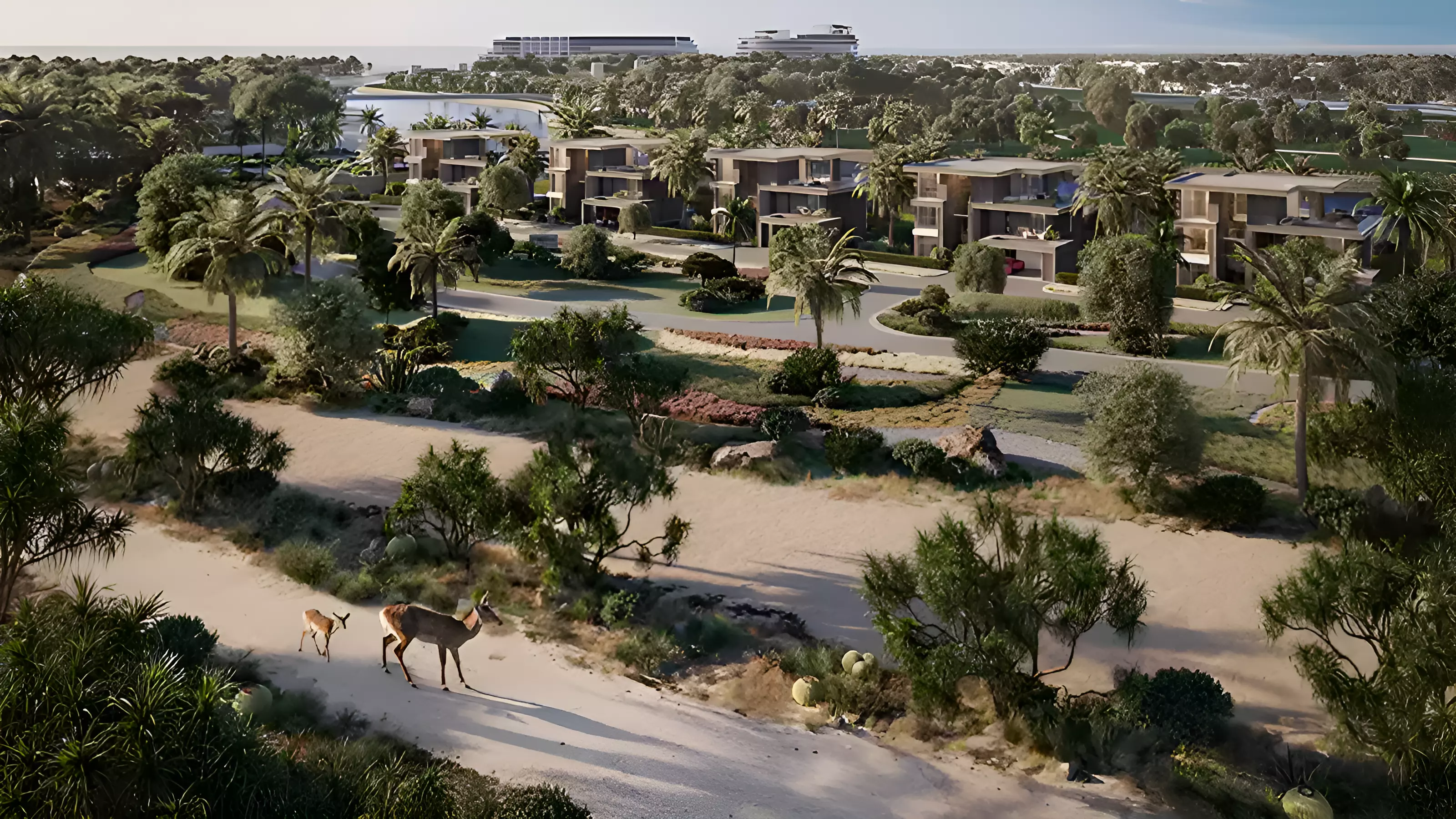 Jacob & Co. Beachfront Living – photo 3