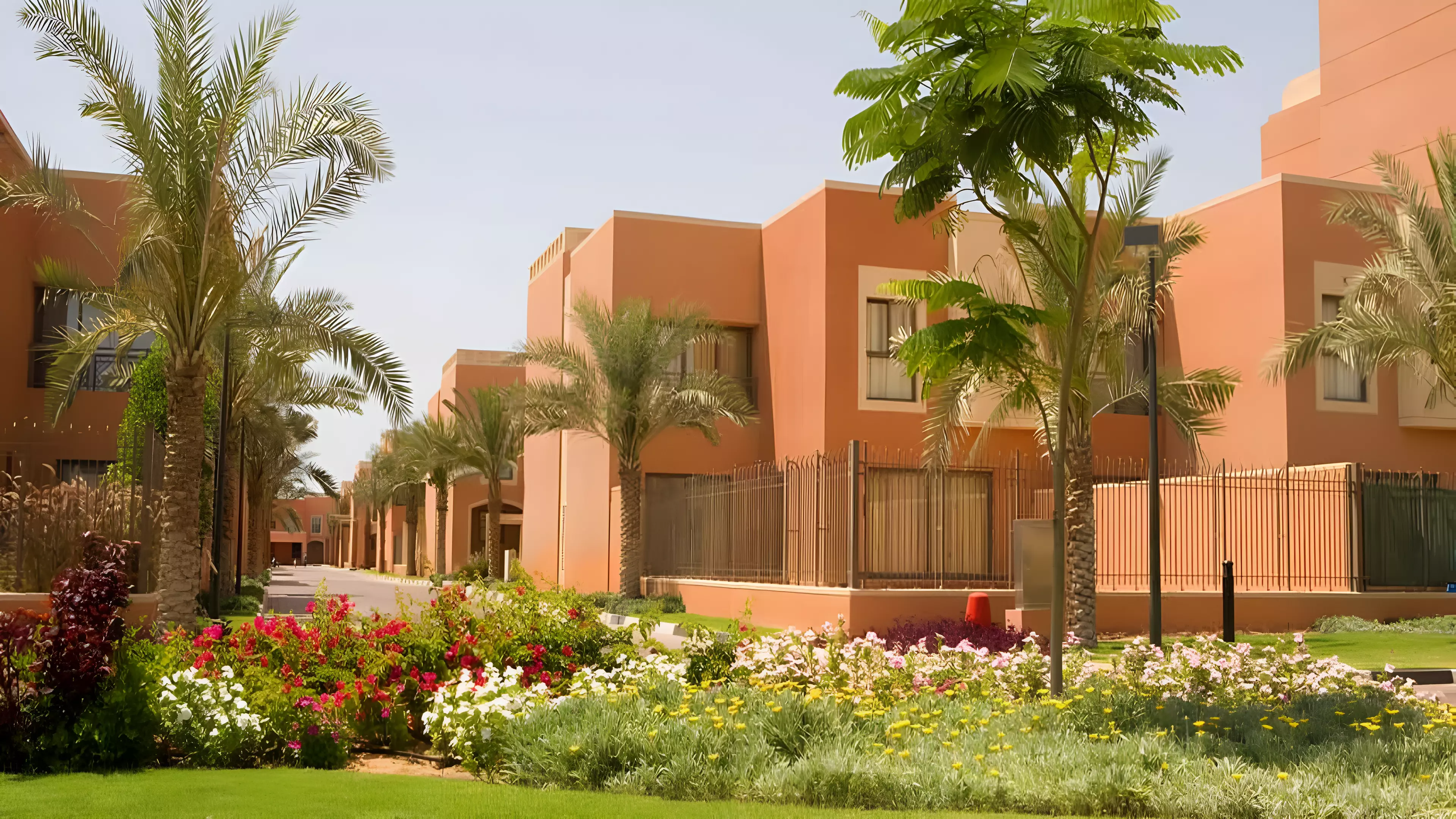 Mangrove Village By Al Ain Holding — UAE Real Estate Project