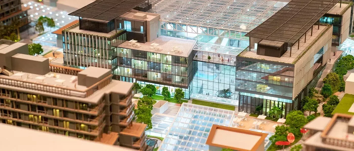 Saadiyat Grove – photo 5