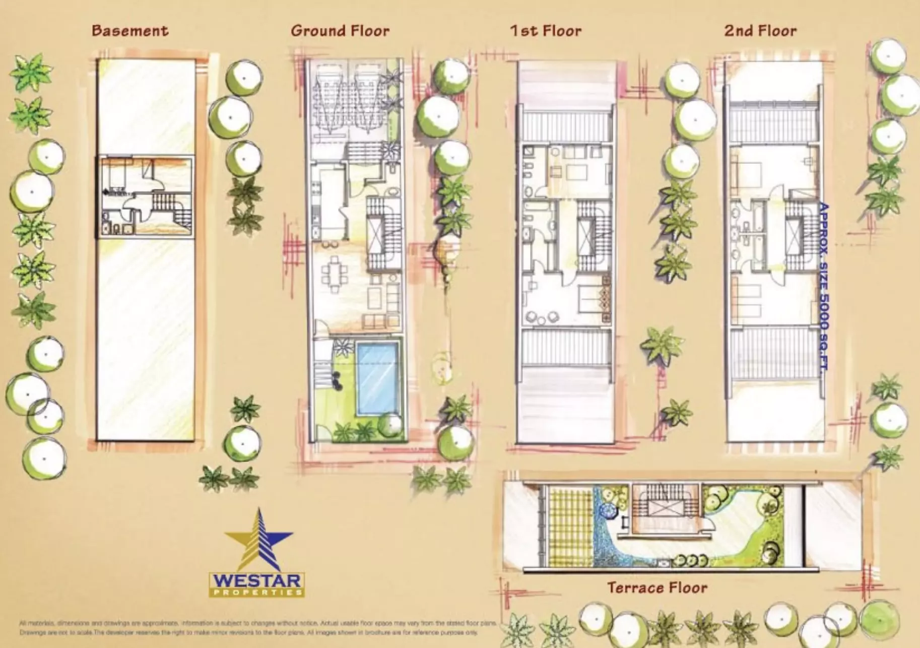 Westar Terrace Garden – photo 4
